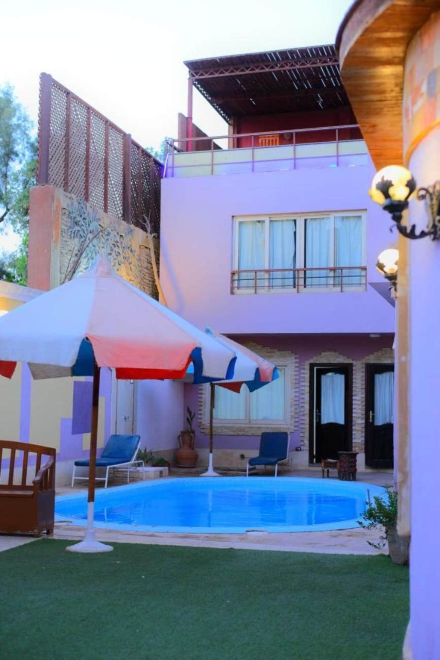 Sofia Guest House 룩소르 외부 사진