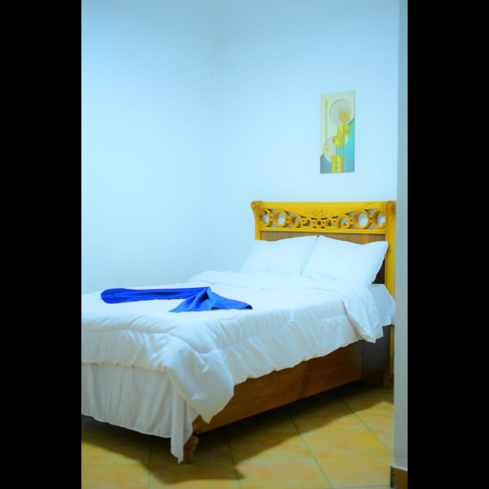Sofia Guest House 룩소르 외부 사진